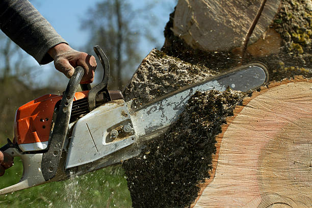 Best Lawn Grading and Leveling  in Hartshorne, OK